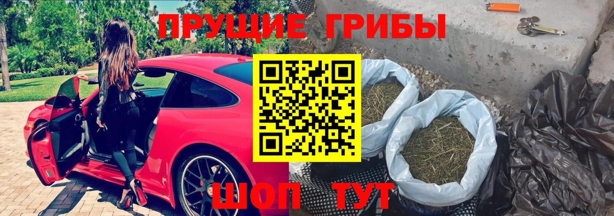 Псилоцибиновые грибы Psilocybine cubensis  Галлюциногенные грибы мицелий  Лыткарино  Вход с VPN 